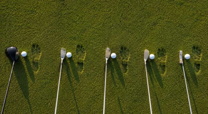 Ball Position Guide By Club