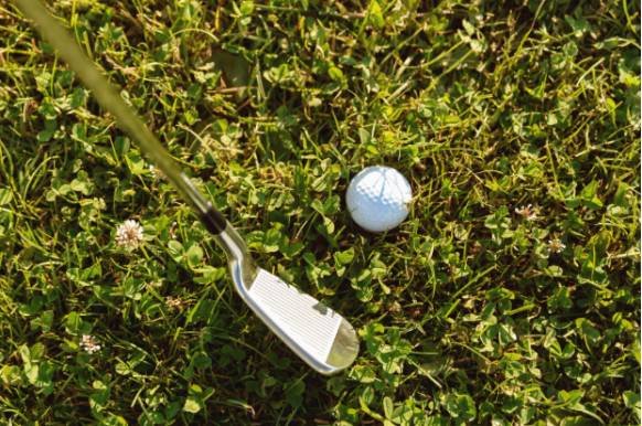 Lost in the Pond Best Golf Ball Retriever for Water Hazards